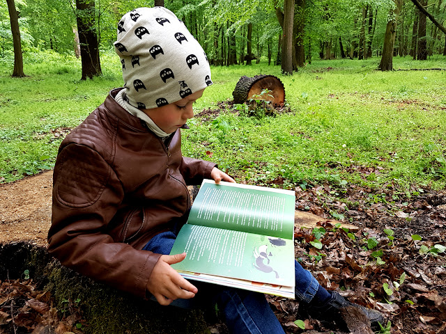 Inspirujące bajki - Agnieszka Antosiewicz - Wydawnictwo GREG- książeczki dla dzieci - bajki terapeutyczne - bajkoterapia