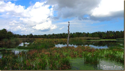 Green Cay_366