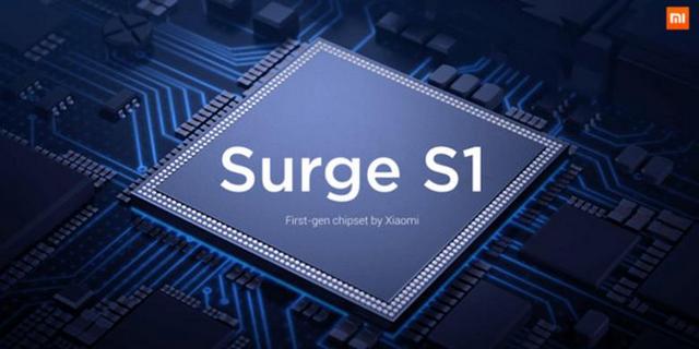 Pinecone Surge S1