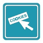 INFORMATIVA USO DEI  COOKIES