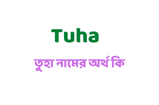 What is the meaning of the name Tuha - tuha name meaning