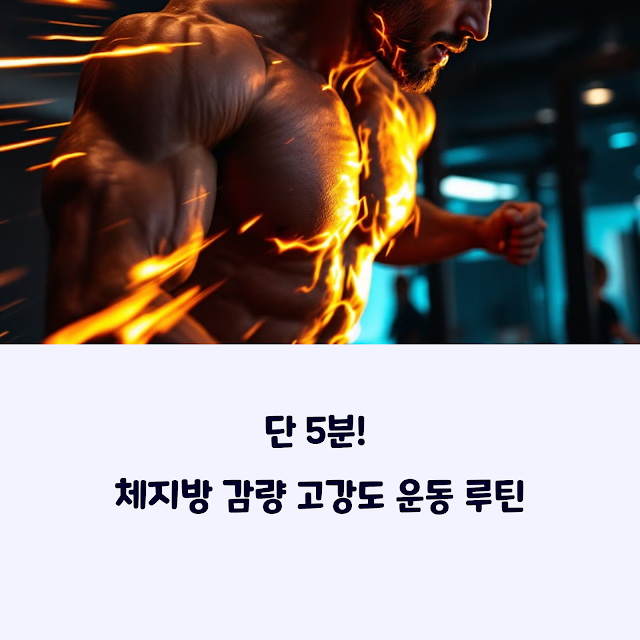 체지방감량