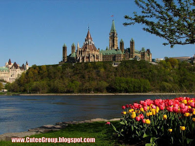 Ottawa (Canada) www.CuteeGroup.TK