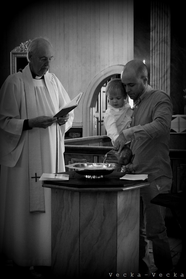 IMG_8232
