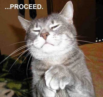 Funny  Photos on Funny Cat As Judge   Hmm     Proceed