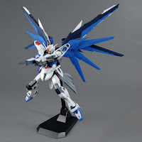 Bandai MG 1/100 Freedom Gundam Ver 2.0 English Manual & Color Guide