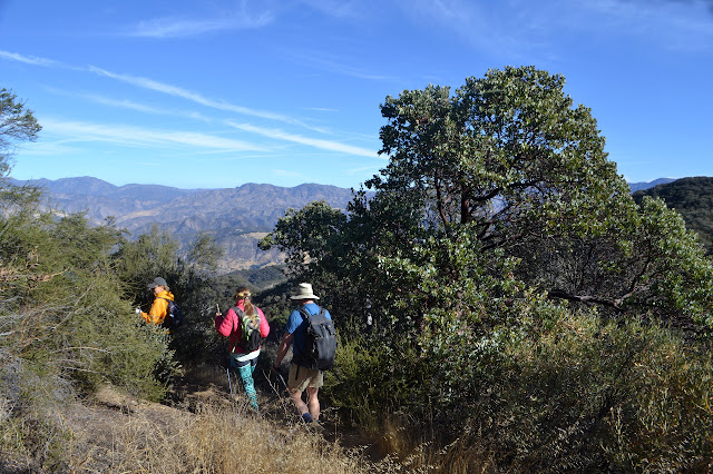 starting with the view and heading down