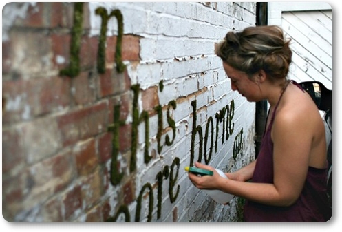 moss graffiti, mossgraffiti