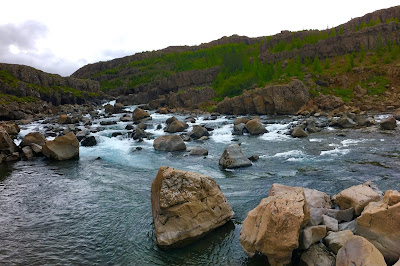 Char Trout Iceland