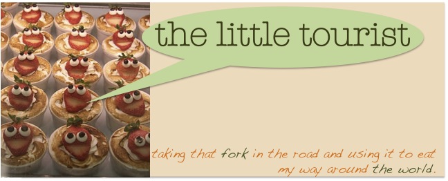 the little tourist