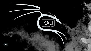 What is Kali Linux and What To Know About It