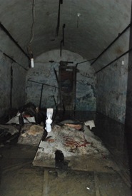dsc_0464-426x635