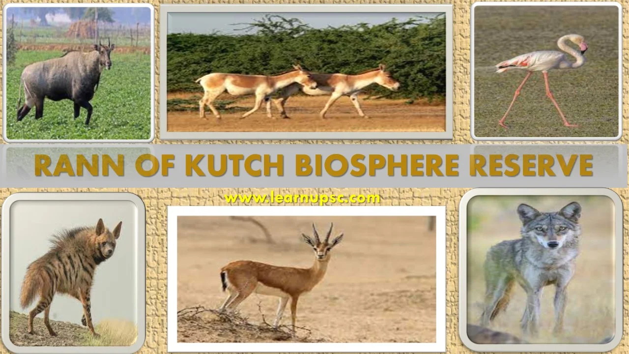 Rann of Kutch Biosphere Reserve