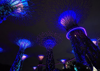 Supertree Groove, Garden Rhapsody. Gardens by the Bay o Jardines de la Bahía, Singapur o Singapore.