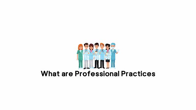 What are Professional Practices