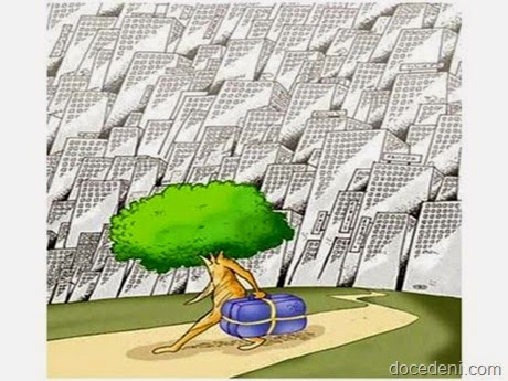 humor6