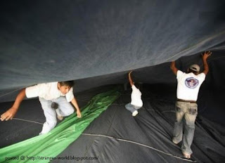 World's Largest Pair of Jeans 