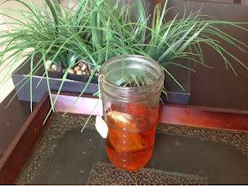 Mason jar of orange colored tea with tea bag