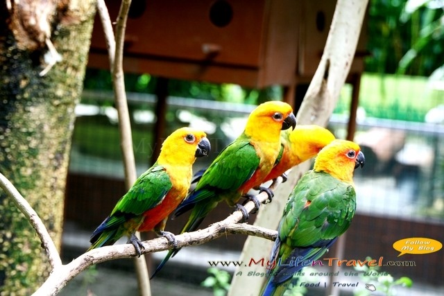 Langkawi Wildlife Park