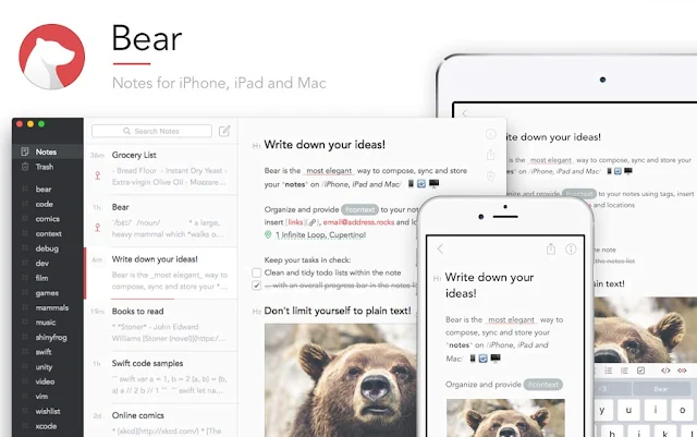 تطبيق BEAR