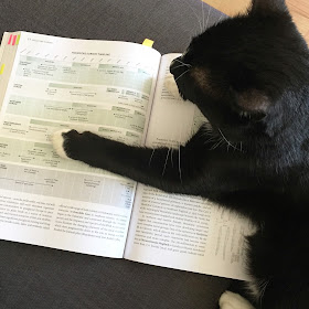 Nigel reading an archaeology book