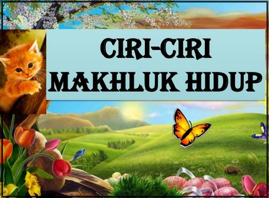 Ciri Ciri Makhluk  Hidup  Artikel Biologi Terlengkap