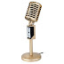 Mini 3.5mm Stereo Recording