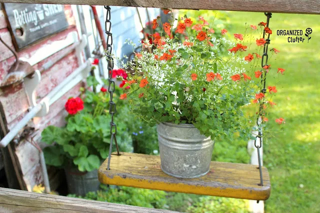 Buckets and Pails as Planters in the Junk Garden