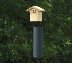  Birds Unlimited: 5 Tips to Attract Birds to Nest in your Bird Houses