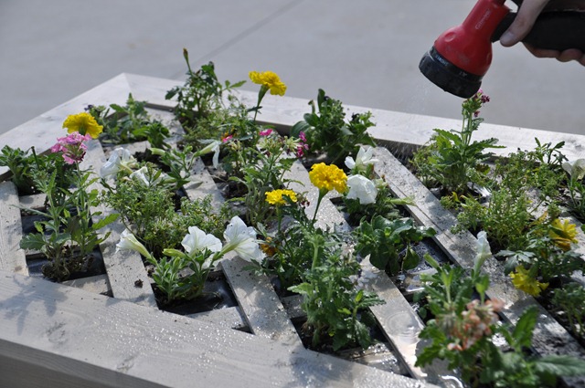 Flowers for a Vertical Garden #DigIn