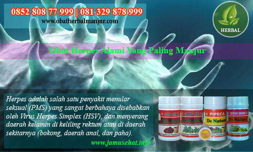 obat herpes selangkangan