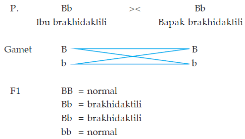 Hereditas Pada Manusia  Plengdut.com