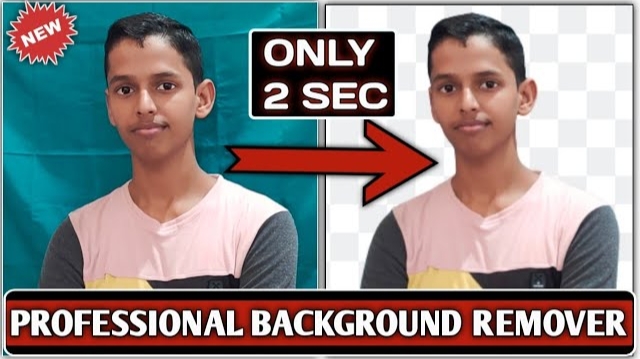 Professional Background Remover