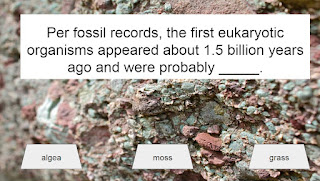 Per fossil records, the first eukaryotic organisms appeared about 1.5 billion years ago and were probably _____. Possible answers include: algae, moss, grass