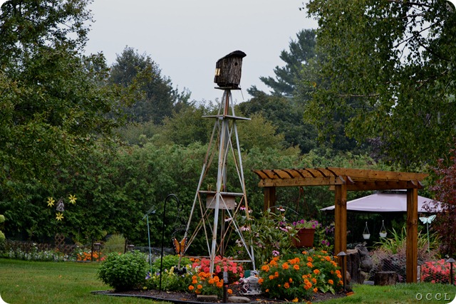 DSC_1382