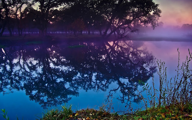 Hermosos Paisajes Reflexionados