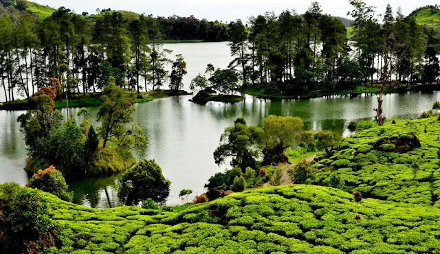 Situ Patenggang Ciwidey Bandung.jpg