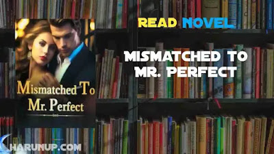 Mismatched to Mr. Perfect Novel