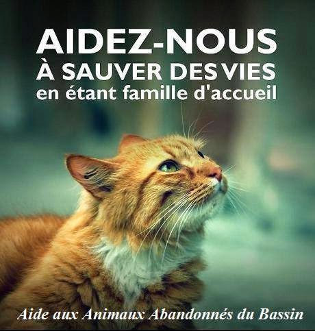 Devenir famille d'accueil