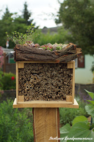 Wildbienenhotel mit Dachbegrünung