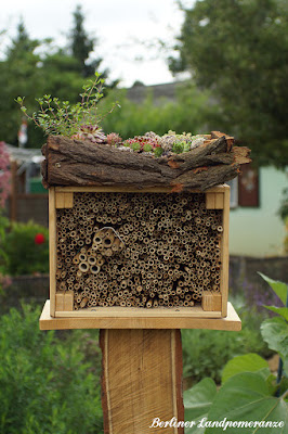 Wildbienenhotel mit Dachbegrünung