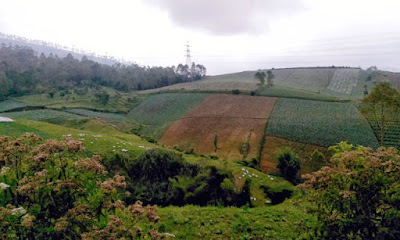 Jalan Kawah Darajat