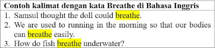 21 Contoh Kalimat Breathe di Bahasa Inggris dan Pengertiannya