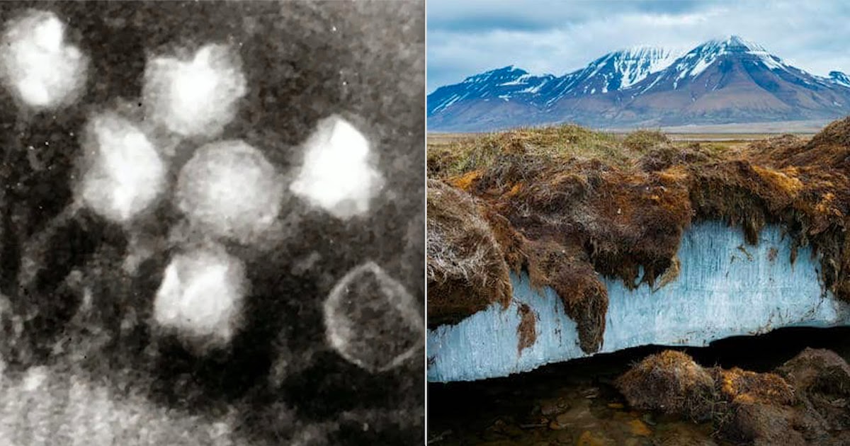 Ancient 15,000-Year-Old Viruses Are Being Revealed In Melting Permafrost