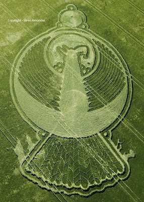 100 Foto Crop Circle dari Seluruh Dunia - www.pictsel.co.cc 100 foto crop circle - www.pictsel.co.cc