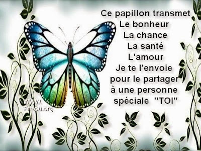 [10000 impressions √] citation porte 256084-Citation protocol