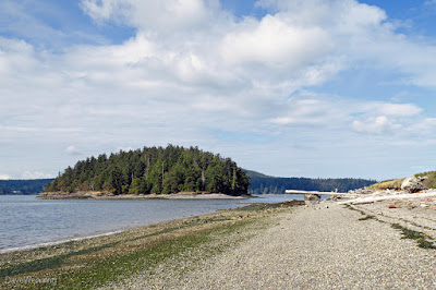 Skagit Island from the Kukutali Preserve