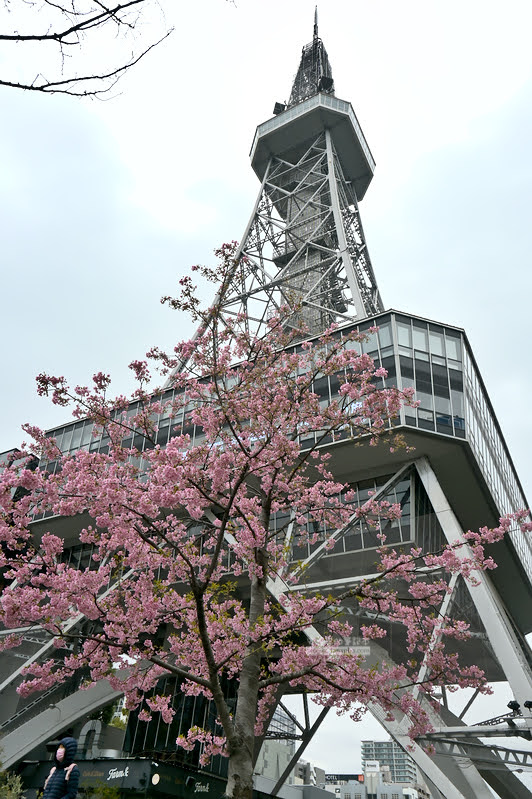 中部電力MIRAI TOWER,名古屋電視塔,名古屋景點 