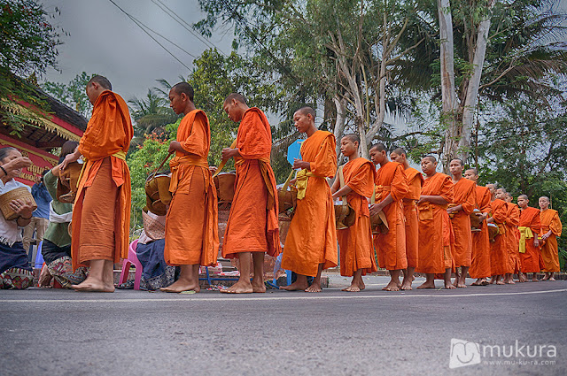 ตักบาตรข้าวเหนียว หลวงพระบาง