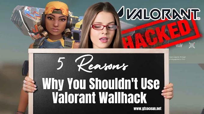 5 Reasons Why You Shouldn't Use Valorant Wallhack